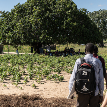 Cabo Delgado: Montepuez